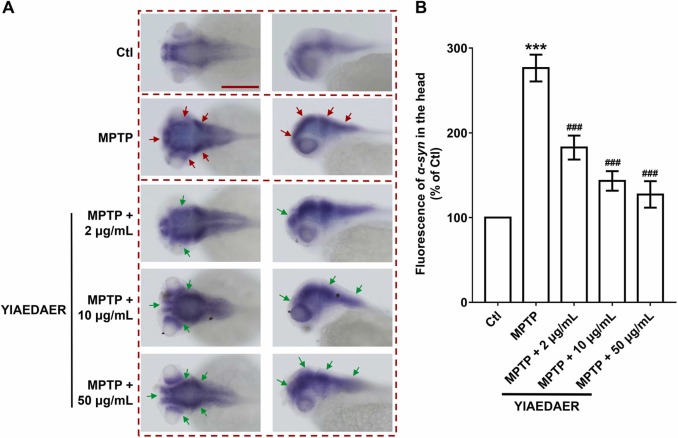 1-s20-S0753332222000178-gr5.jpg 1-s20-S0753332222000178-gr5.jpg