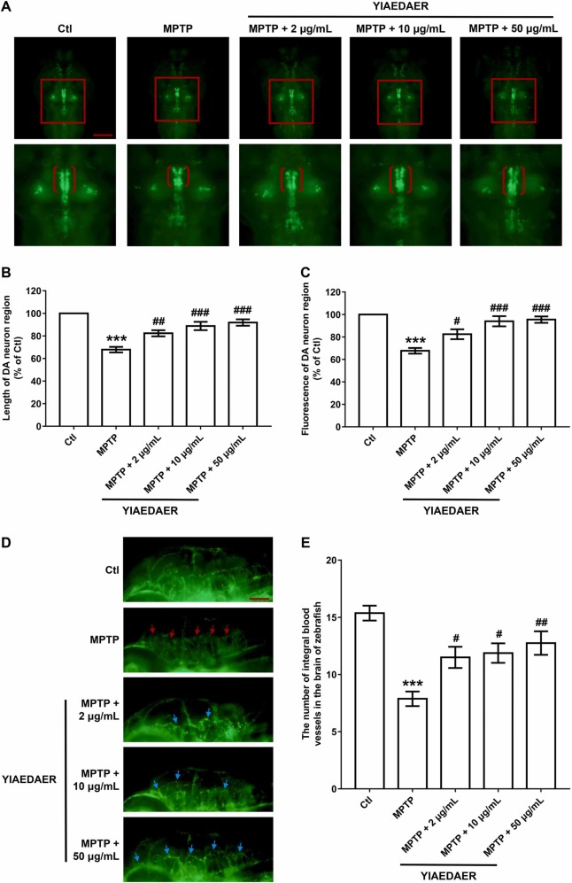 1-s20-S0753332222000178-gr4.jpg 1-s20-S0753332222000178-gr4.jpg