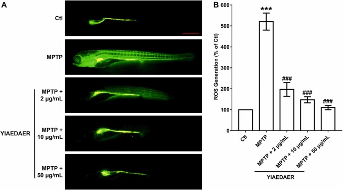 1-s20-S0753332222000178-gr6.jpg 1-s20-S0753332222000178-gr6.jpg