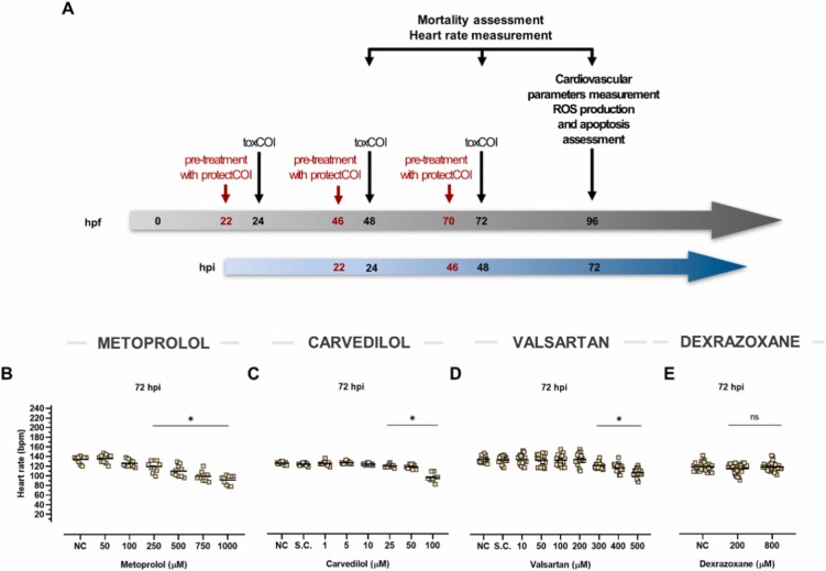 1-s20-S075333222200083X-gr1.jpg 1-s20-S075333222200083X-gr1.jpg
