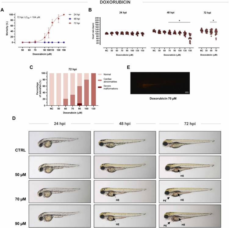 1-s20-S075333222200083X-gr2.jpg 1-s20-S075333222200083X-gr2.jpg