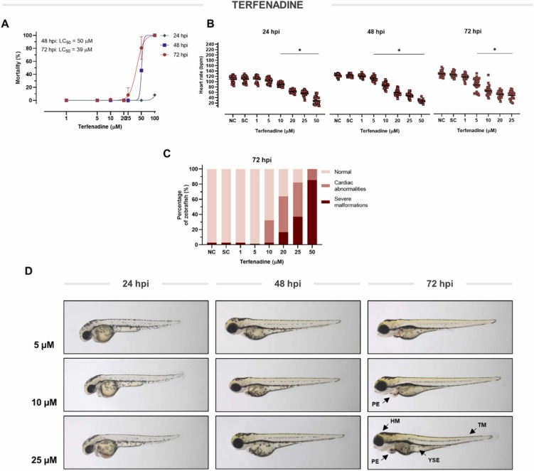 1-s20-S075333222200083X-gr4.jpg 1-s20-S075333222200083X-gr4.jpg