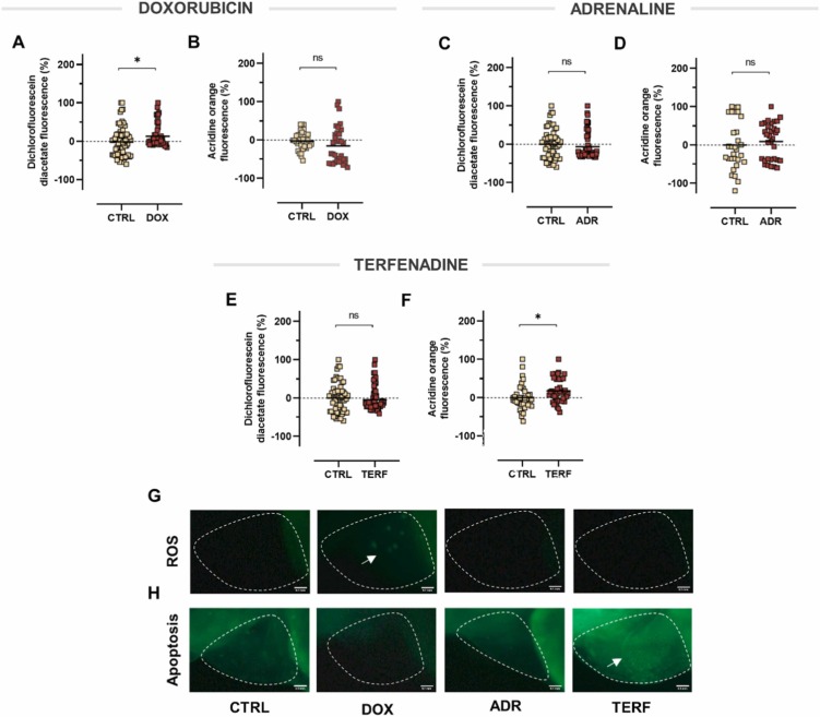 1-s20-S075333222200083X-gr6.jpg 1-s20-S075333222200083X-gr6.jpg
