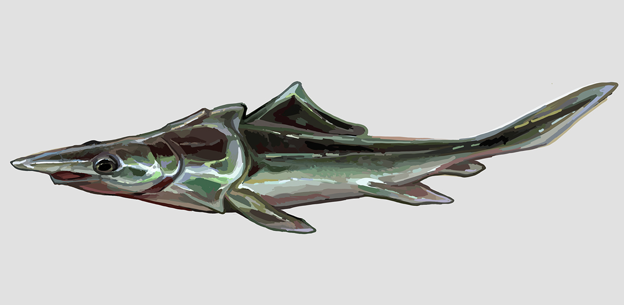 p13.jpg