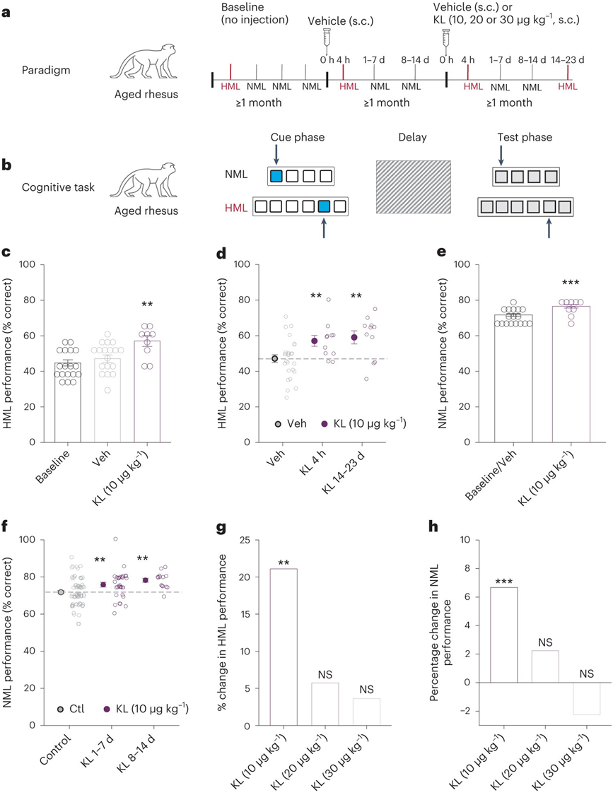 1688597414862_2185383.png 1688597414862_2185383.png