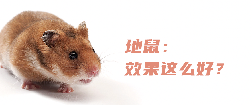 微信图片_20200902091517.png