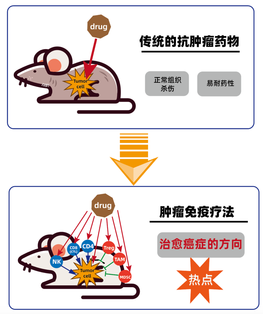 微信图片_20200805103106.png