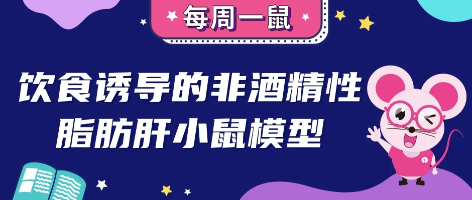 封面webp.jpg 封面webp.jpg
