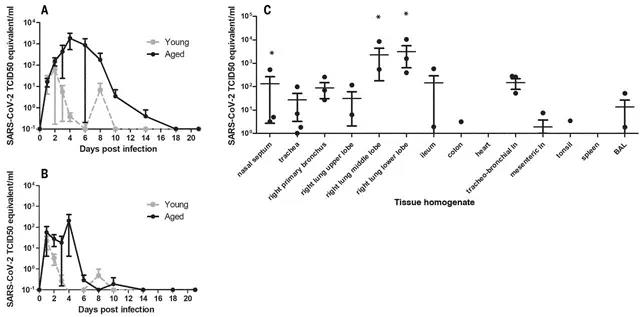微信图片_20200605101019.jpg 微信图片_20200605101019.jpg