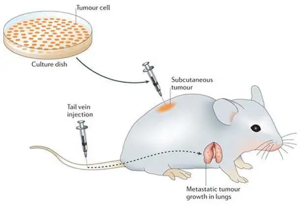 微信图片_20200514115050.jpg 微信图片_20200514115050.jpg
