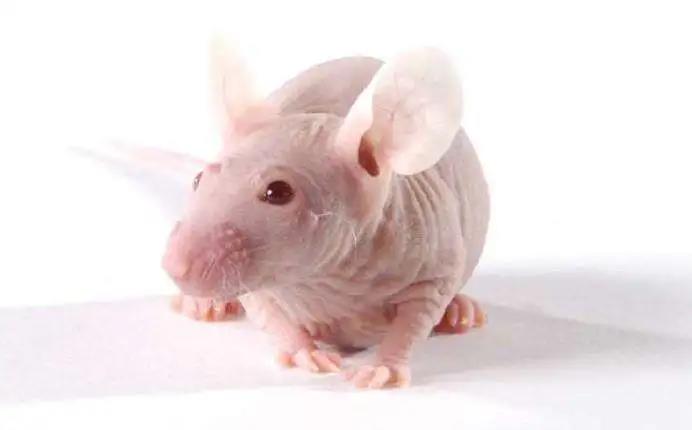 微信图片_20200514115349.jpg 微信图片_20200514115349.jpg