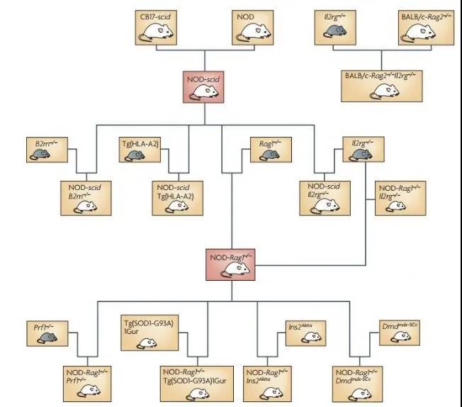 微信图片_20200514115617.jpg 微信图片_20200514115617.jpg