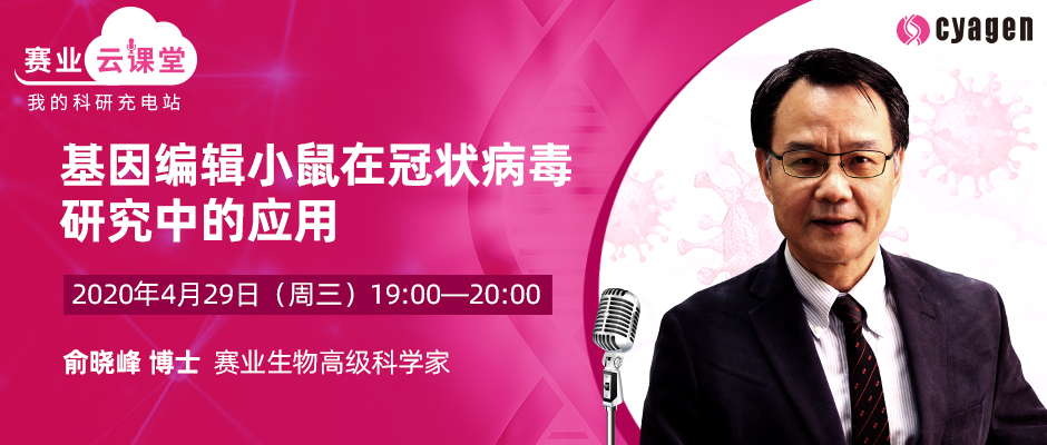 基因编辑小鼠在冠状病毒研究中的应用 基因编辑小鼠在冠状病毒研究中的应用