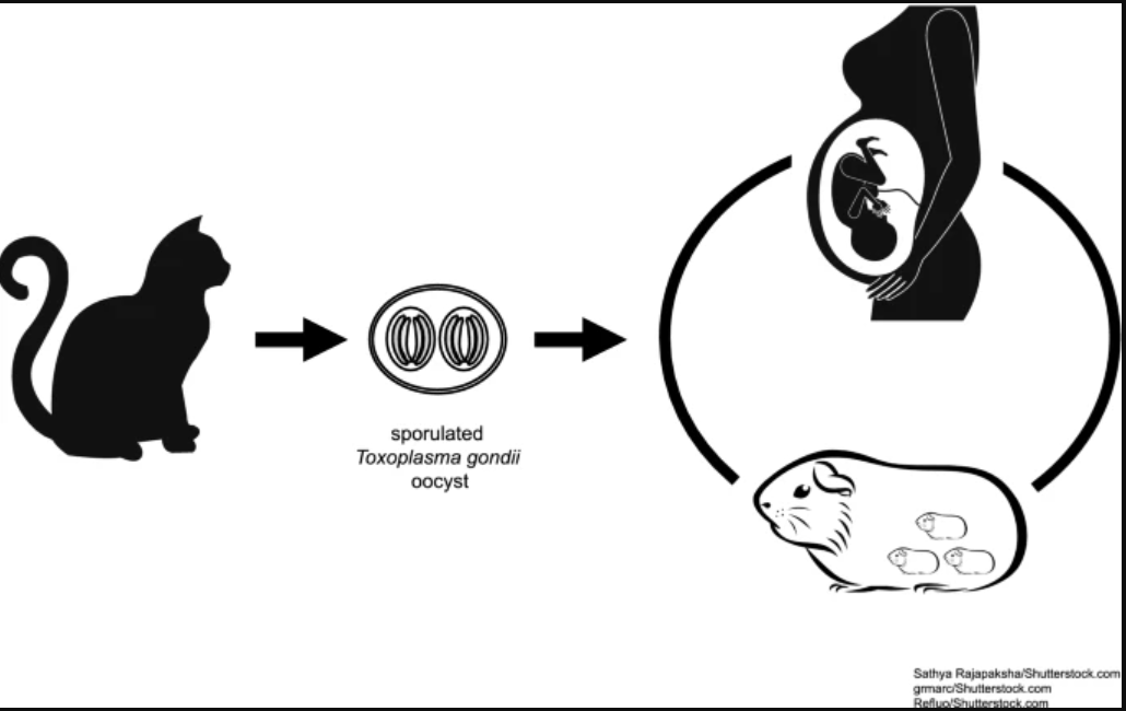 捕获.PNG 捕获.PNG