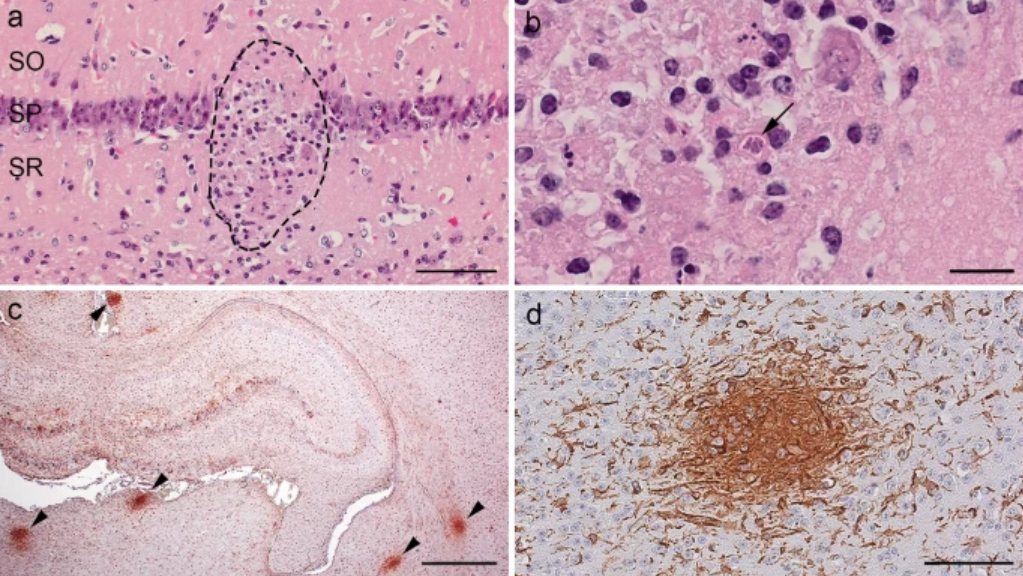 捕获11.PNG 捕获11.PNG