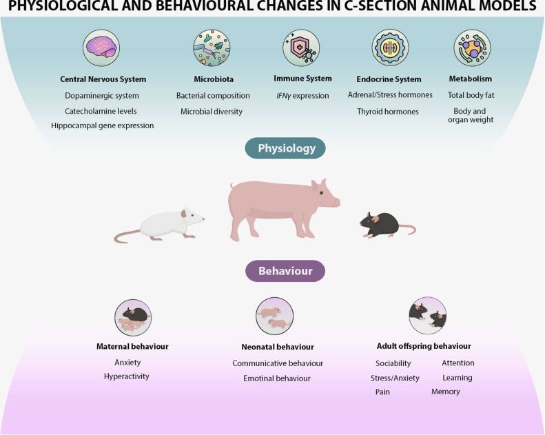 1-s20-S0149763422000446-gr3.jpg 1-s20-S0149763422000446-gr3.jpg