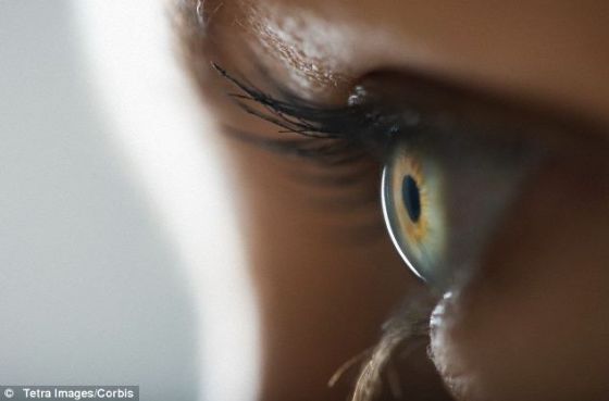 人眼视网膜含有两种主要的感光细胞——视杆细胞和视锥细胞，但大多数都是对低光敏感的视杆细胞。