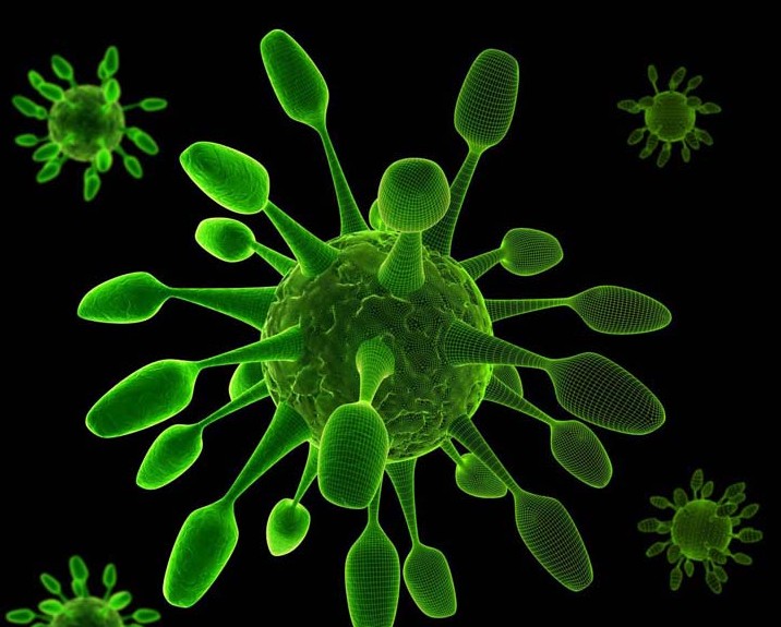 PNAS:科学家解码致命流感病毒出现的真正原由