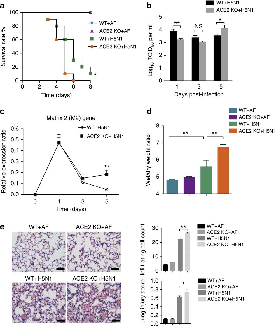 禽流感管理的新途径