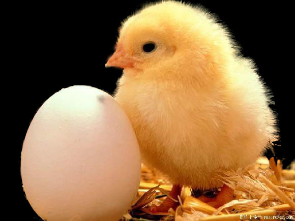 华南农大在PLOS ONE揭示miRNA对鸡白血病肿瘤的调控机制