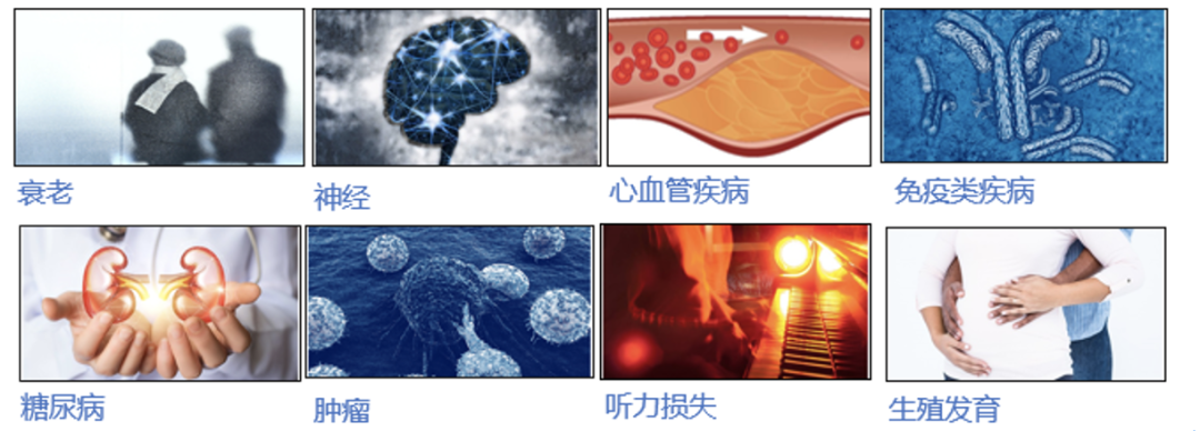 WeChat Image_20220331110757.png