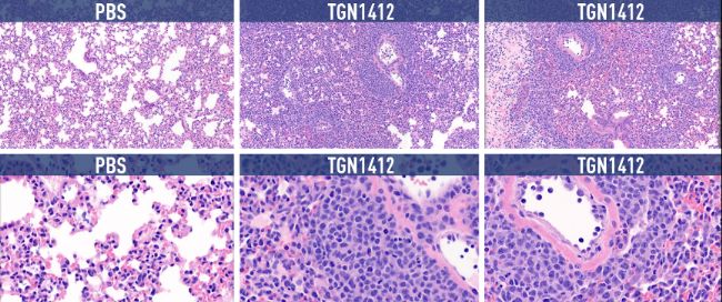 WeChat Image_20220412115224.jpg
