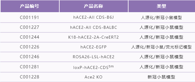 小鼠模型的选择与研究应用