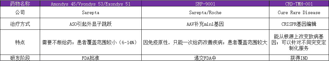 DMD人源化小鼠模型