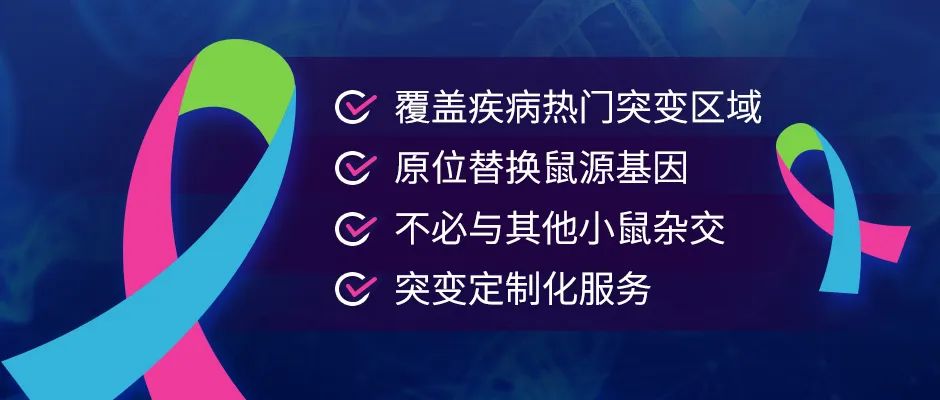 DMD人源化小鼠模型