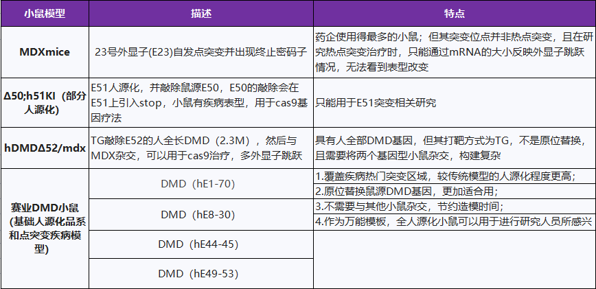 DMD人源化小鼠模型