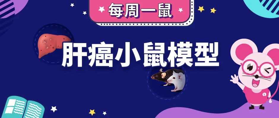 肝癌模型金标准