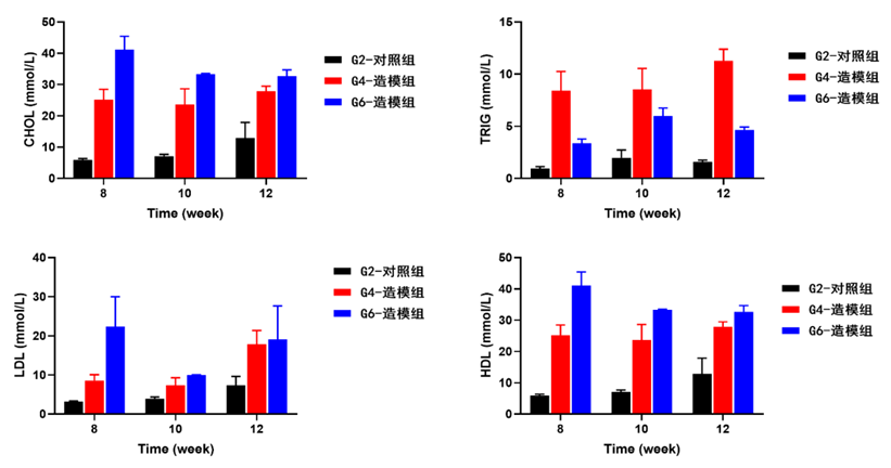 动脉粥样硬化小鼠 动脉粥样硬化小鼠