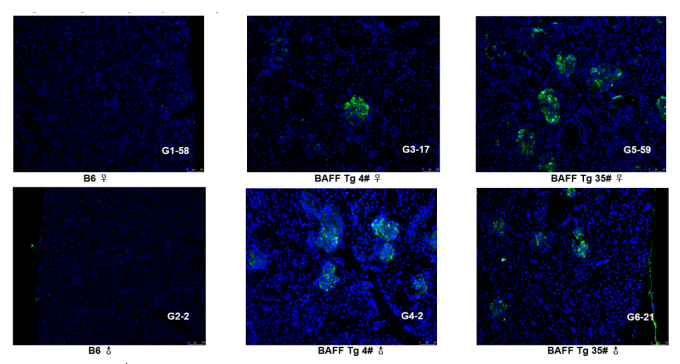 微信截图_20230224175033.png 微信截图_20230224175033.png
