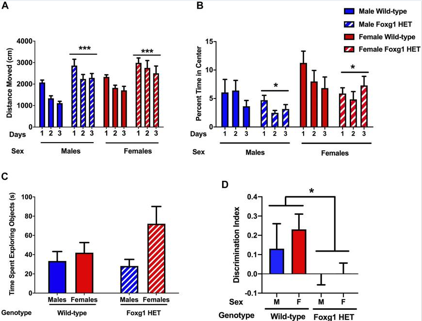 神经罕见病小鼠 神经罕见病小鼠