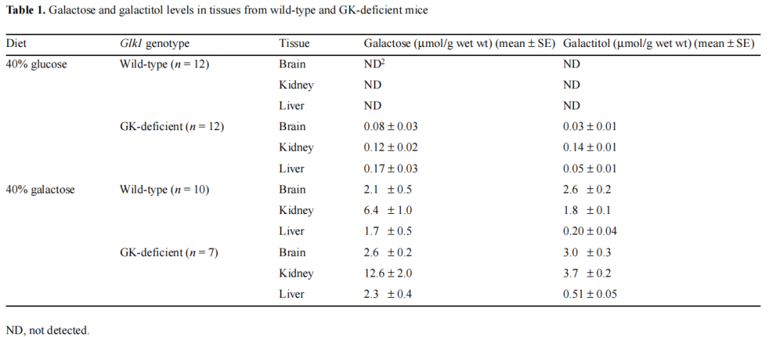 半乳糖血症动物模型