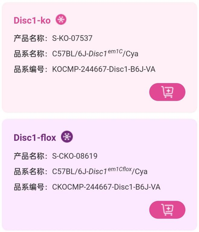 精神分裂症小鼠 精神分裂症小鼠