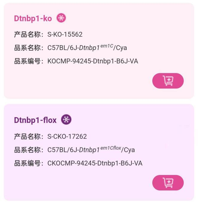 精神分裂症小鼠 精神分裂症小鼠