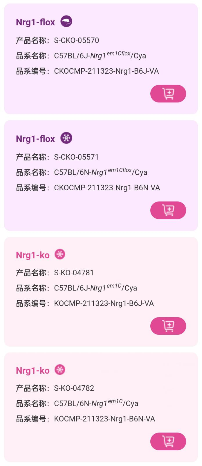 精神分裂症小鼠 精神分裂症小鼠