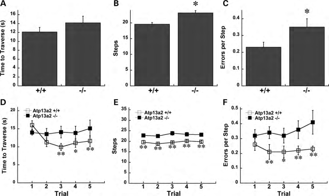 Kufor-Rakeb 综合征