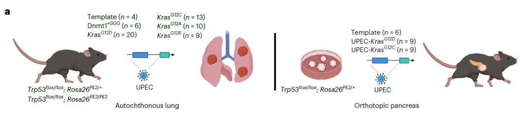 微信图片_20230517113930.png 微信图片_20230517113930.png