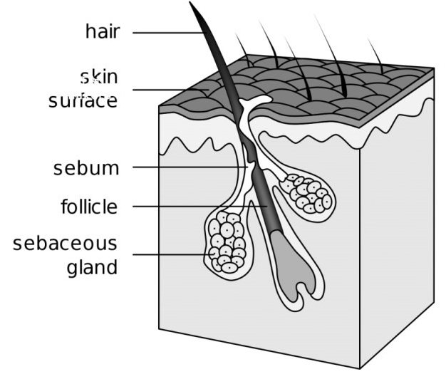 QQ 截图 20180117141410
