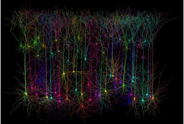 QQ 截图 20171218093923