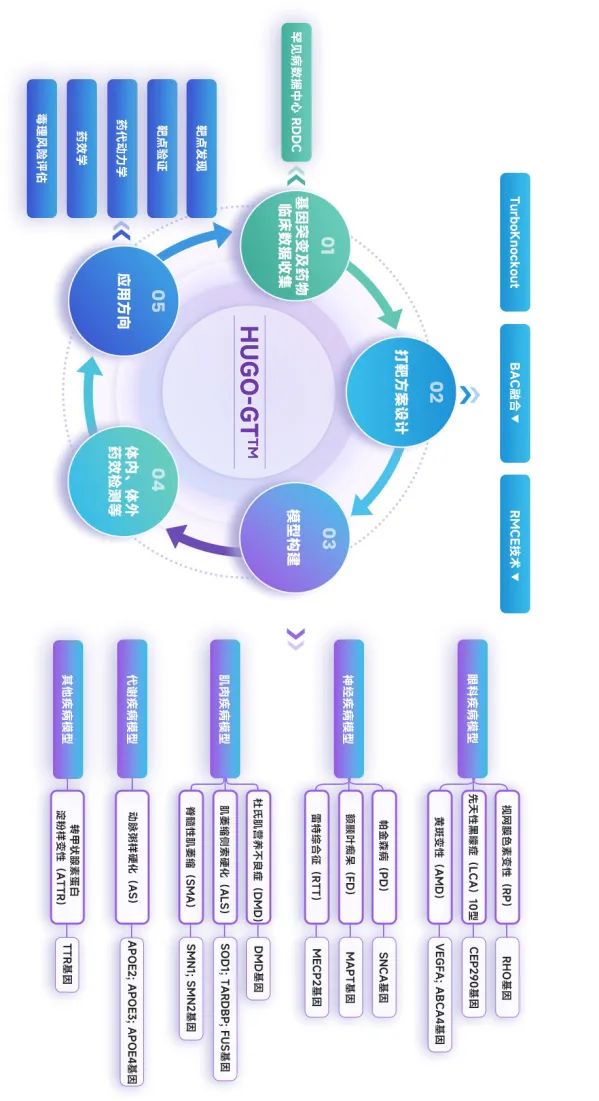 全基因组人源化模型构建 全基因组人源化模型构建