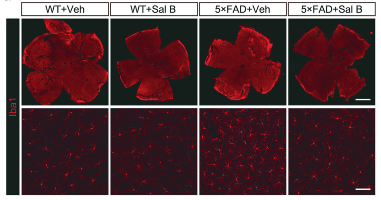 1689145547520_2444714.png 1689145547520_2444714.png