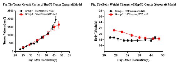 重度免疫缺陷小鼠C-NKG 构建的CDX模型 重度免疫缺陷小鼠C-NKG 构建的CDX模型