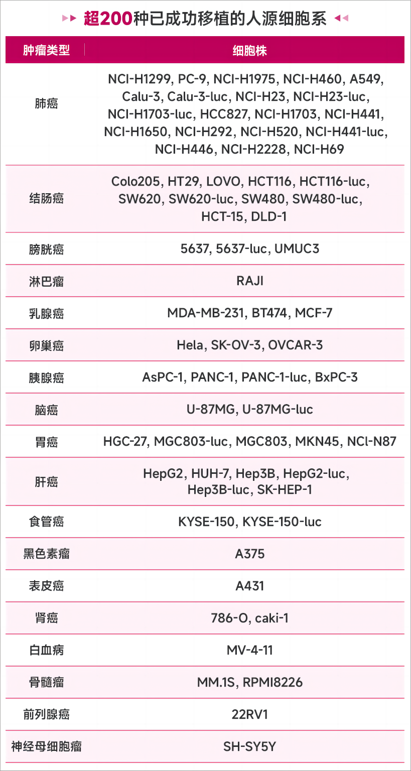 移植人源细胞系