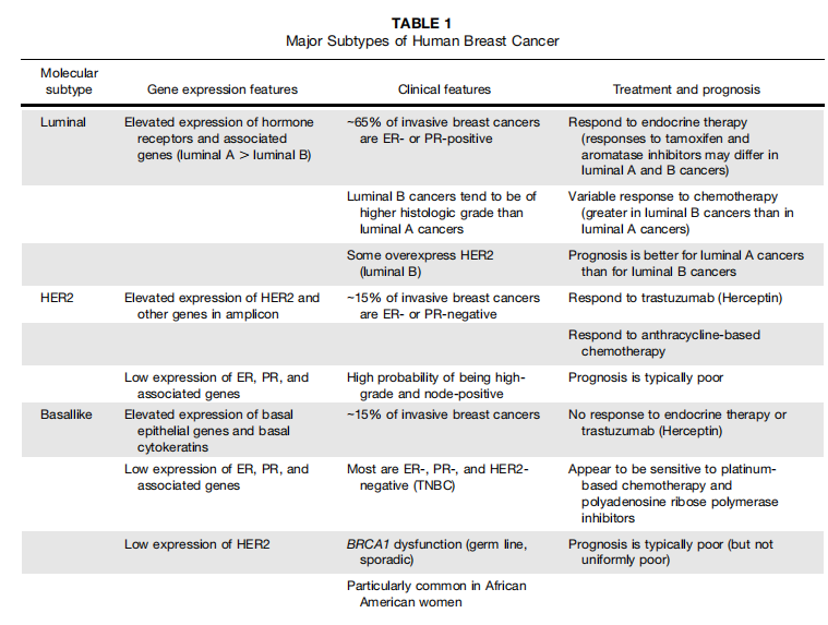 乳腺癌的临床前研究常见动物模型 乳腺癌的临床前研究常见动物模型