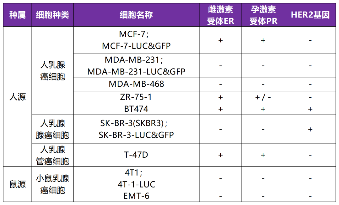 乳腺癌的临床前研究常见动物模型 乳腺癌的临床前研究常见动物模型