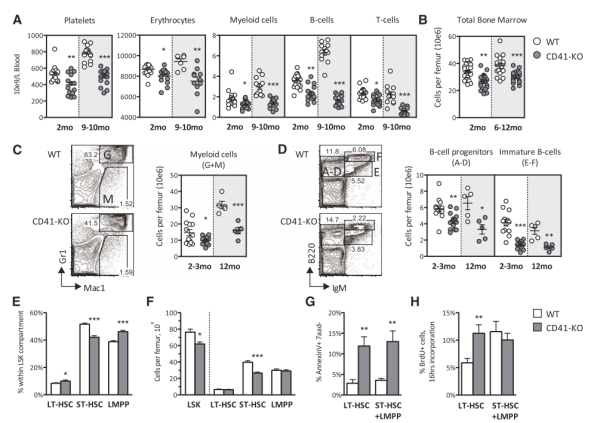 小鼠模型开启免疫基因治疗新思路 小鼠模型开启免疫基因治疗新思路
