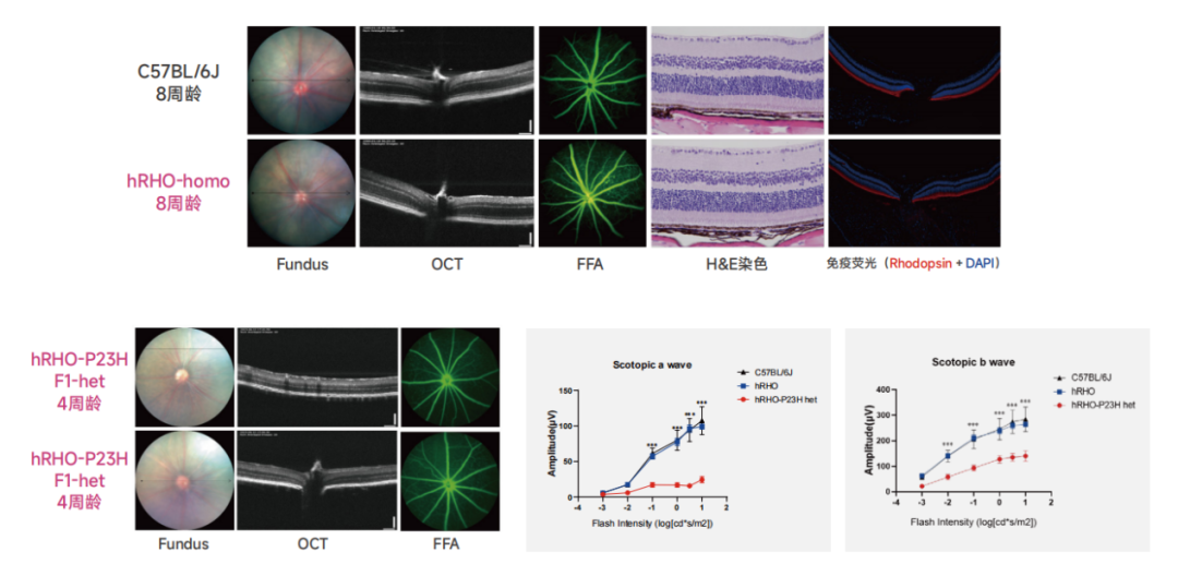 眼科基因治疗行业